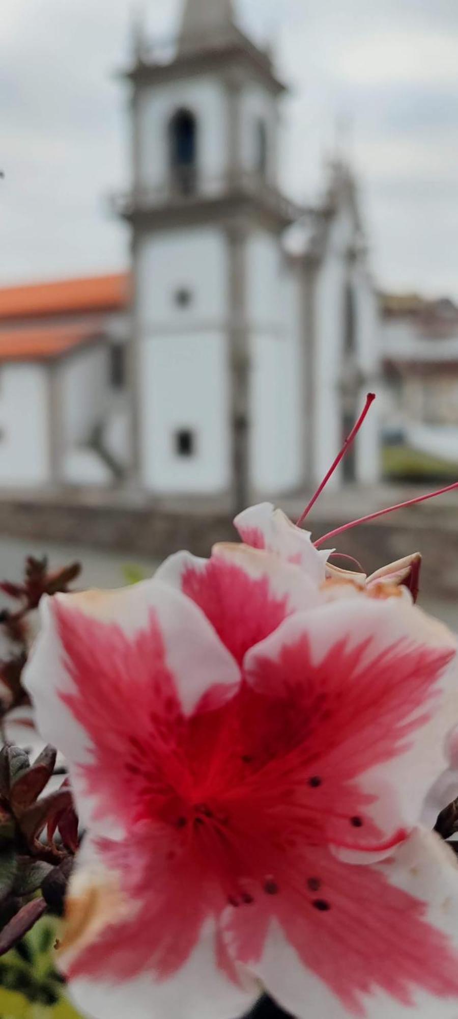 Donna Nega Alojamento Local Caminha Esterno foto
